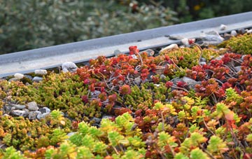the cost of North Street green roof installation