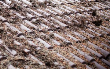 North Street roof cleaning companies